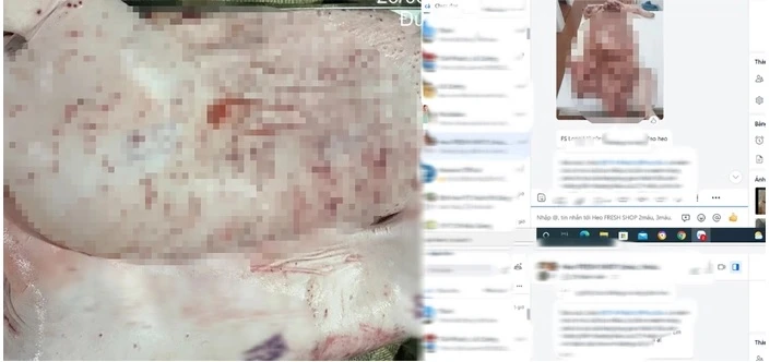 Hình ảnh trong bài tố C.P. Việt Nam bán lợn, gà bệnh: Được chụp tại Hậu Giang từ năm 2022