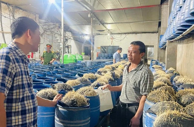 Lưu Văn Vẽ cấu kết với Tạ Văn Hải đưa 348 tấn giá đỗ độc hại ra thị trường: Chất cấm nào được sử dụng?