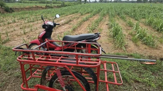 Không nghe lời khuyên của vợ, nhất quyết đi ra đồng lúc mưa gió, người đàn ông gặp cái kết bi thảm