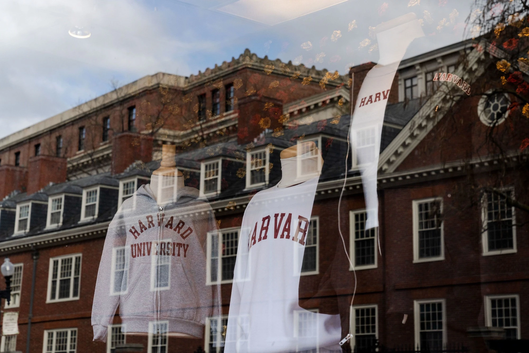 Lo lắng, hồi hộp và run sợ: Sinh viên quốc tế tại Harvard đang hoang mang vì khả năng lâm vào cảnh 