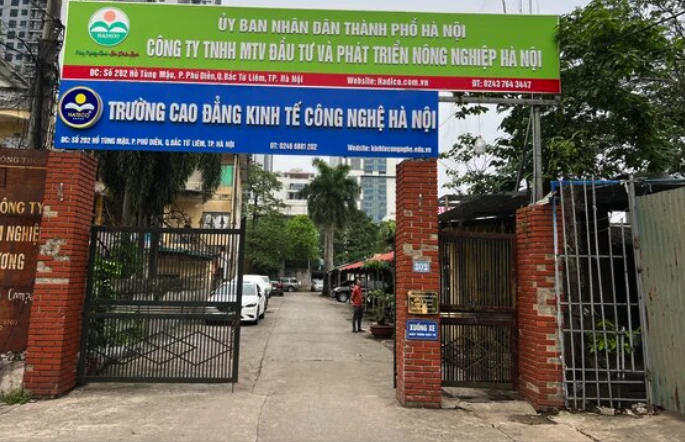 Bộ GD-ĐT lên tiếng việc hơn 100 sinh viên bị dừng học không lý do