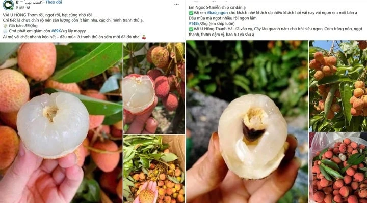 Chợ mạng rao bán vải u hồng chín sớm, giá rẻ bất ngờ