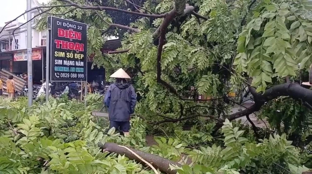 Cây xanh gãy đổ, ngập nhiều nơi do mưa gió