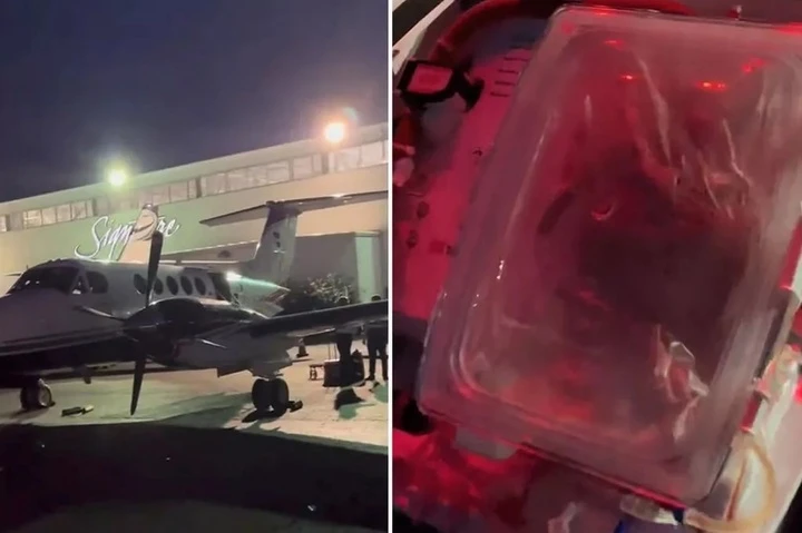 Clip trái tim đang đập trong hộp chờ cấy ghép thu hút 24 triệu lượt thích