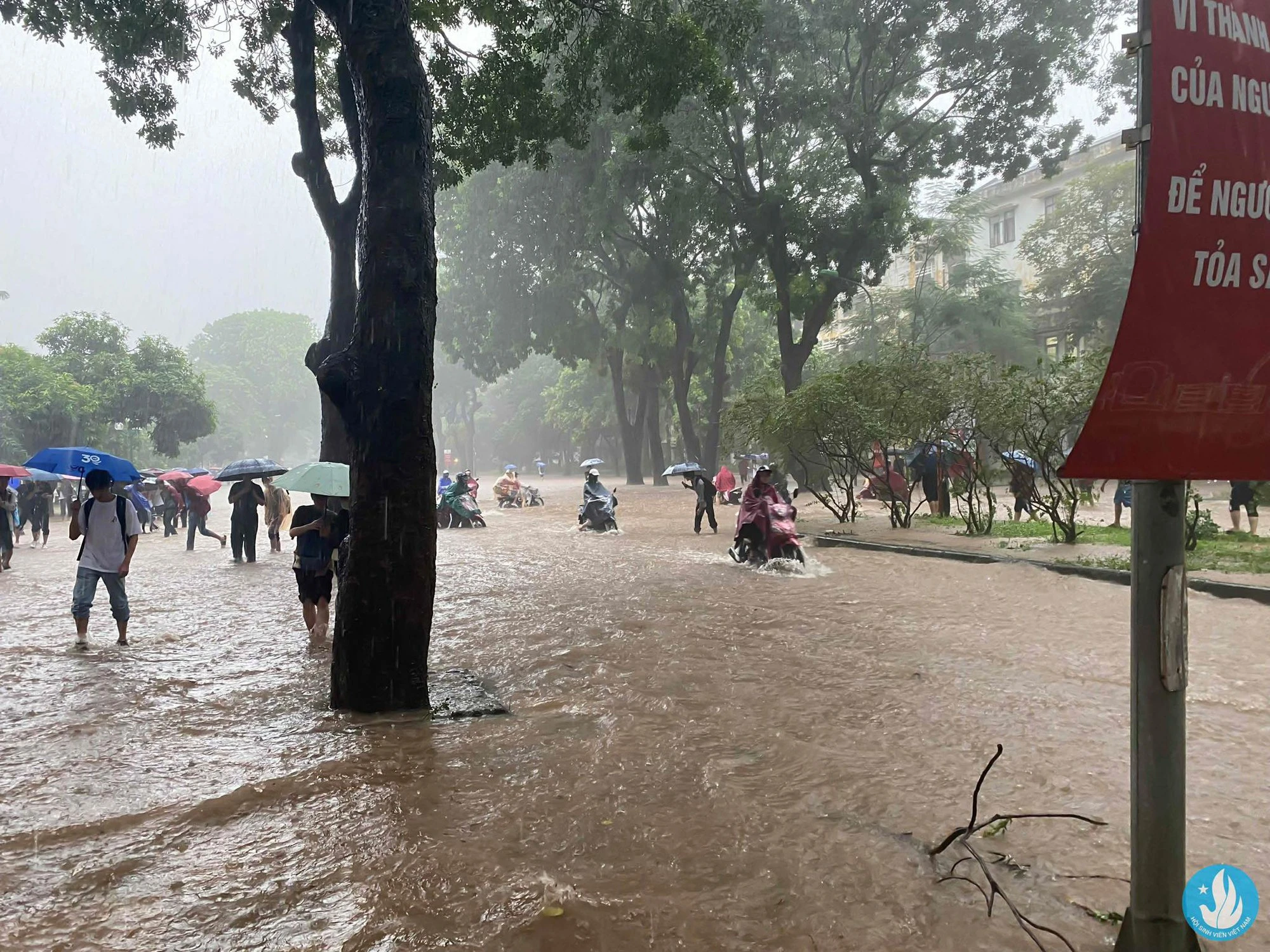 Chùm ảnh sinh viên lội nước đi học ngày mưa bão: Ngập không quan trọng, quan trọng là điểm chuyên cần còn nguyên!