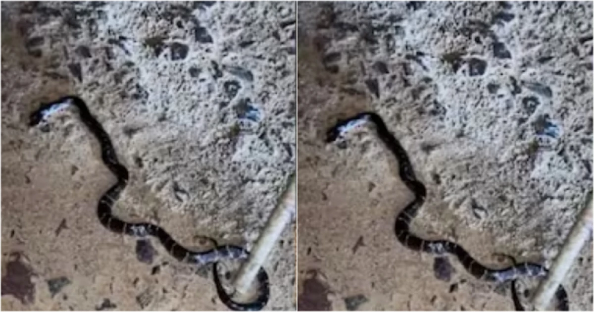 Đang ngồi xem tivi, 2 con tử vong, bố nguy kịch, sự thật bất ngờ phía sau nhà