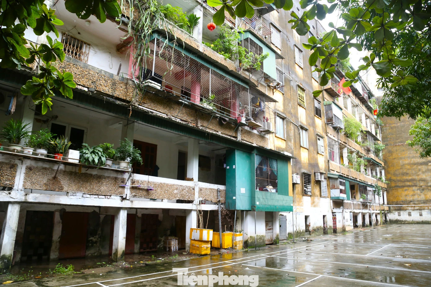 Chung cư 50 năm tuổi xuống cấp, công an gõ cửa từng nhà sơ tán dân tránh bão