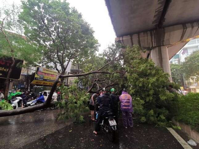 Hà Nội có thể đón gió giật cấp 10 do siêu bão YAGI