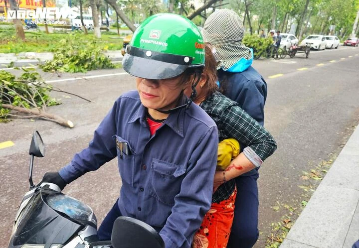 Gió to, cây xanh bật gốc đè bị thương người đi đường tại Bình Định
