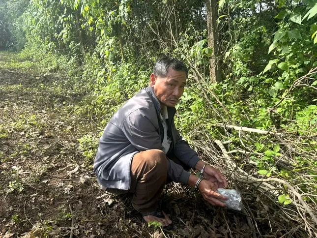 Đôi tình nhân nuôi gần 10 con chó dữ để thuận lợi tẩu tán ma tuý