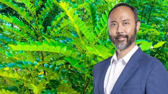 Phát hiện loại cây quý hiếm mọc ở đâu ‘kho báu’ ở đó, láng giềng Việt Nam trúng đậm thứ cả thế giới săn lùng, mở ra kỷ nguyên khai thác mới