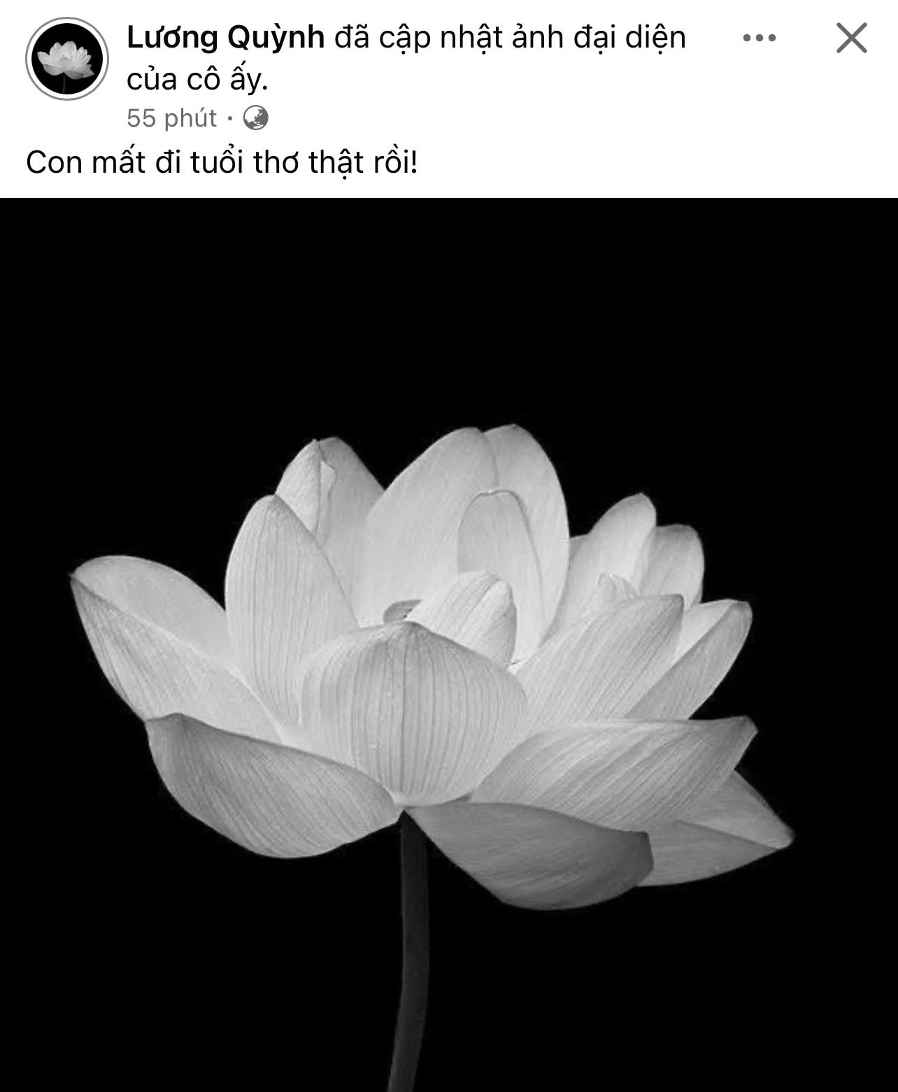 Bà ngoại Quỳnh Lương qua đời vì uống phải thuốc giả, Lê Giang cùng dàn sao đồng loạt chia buồn