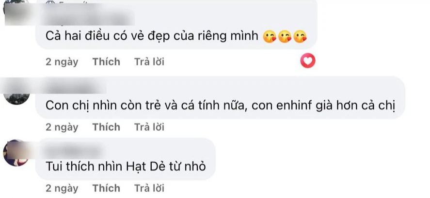 Lọ Lem đăng ảnh 2 chị em, bình luận của 1 cư dân mạng bị chỉ trích: Quá vô duyên!
