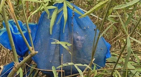 Bí mật 