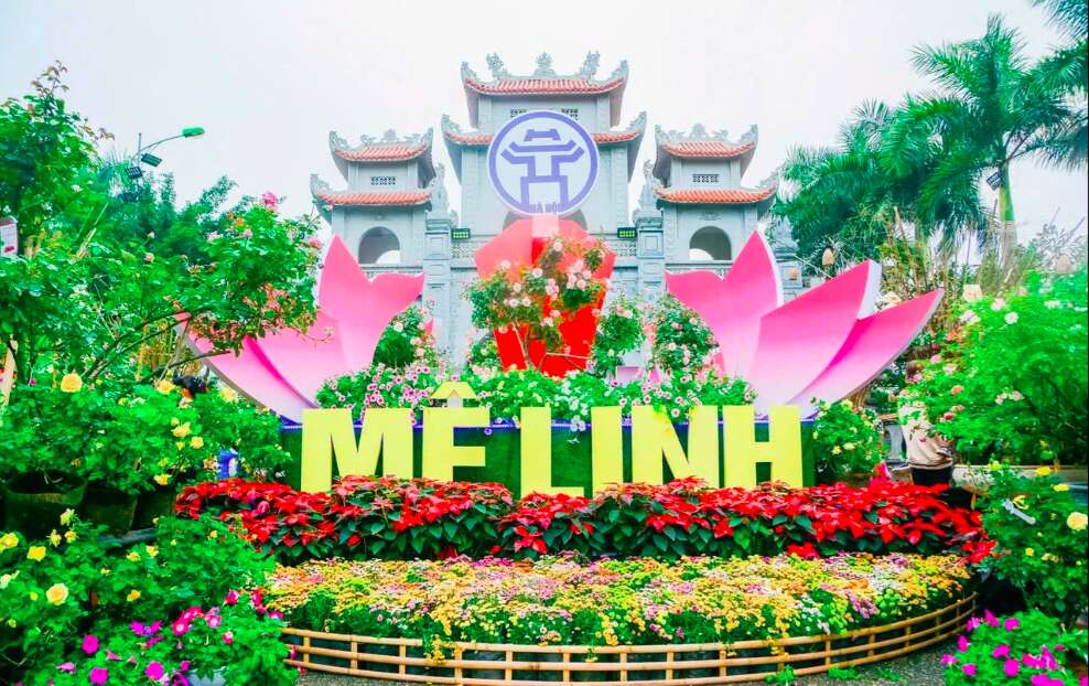 Ca sĩ Hòa Minzy, Đức Phúc sẽ biểu diễn tại Festival hoa Mê Linh