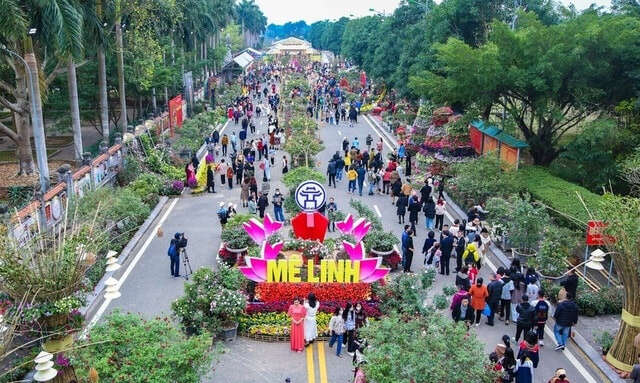 Festival hoa Mê Linh được tổ chức từ 26 đến 28-12