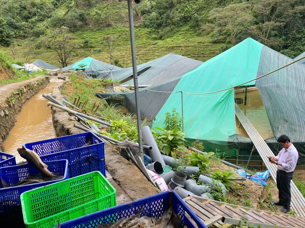 Sạt lở núi làm chết gần 70 tấn cá tầm, thiệt hại hơn 8 tỉ đồng