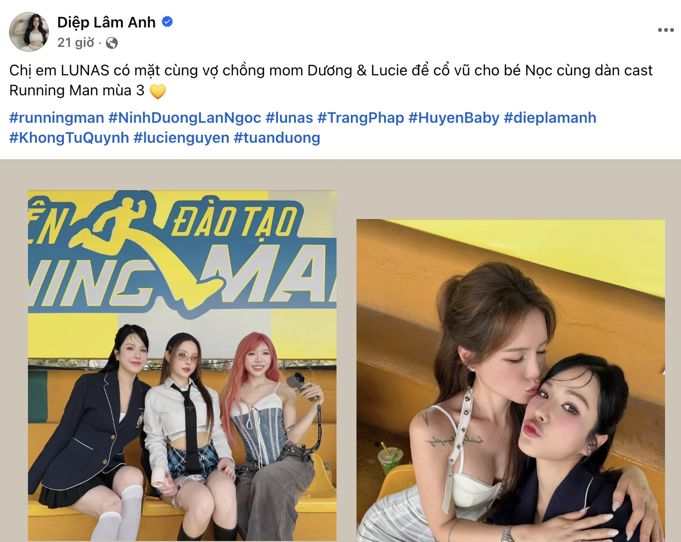 Diệp Lâm Anh đã làm gì Lan Ngọc mà bị chỉ trích đến mức này?