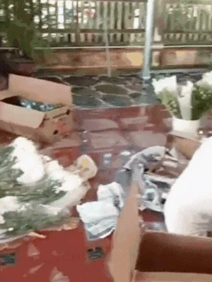 Đám cưới Hoa hậu Đỗ Hà và thiếu gia xây dựng: Nhà gái đã dựng rạp, có 1 điểm lạ chưa từng thấy!
