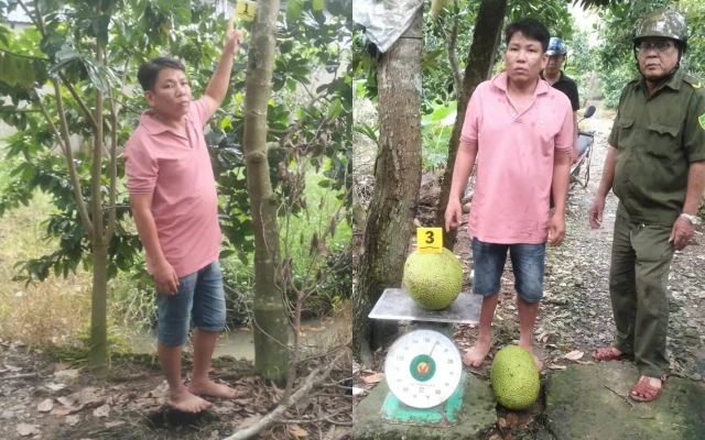 Lê Hoàng Lợi sinh năm 1991 bị khởi tố chỉ vì 2 trái mít Thái