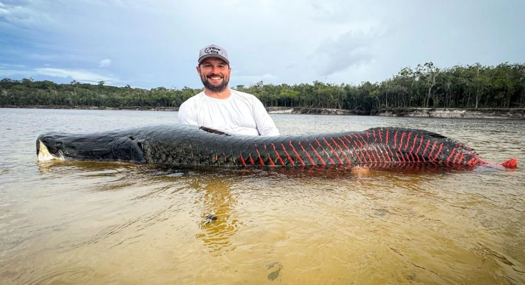 Cần thủ câu được con cá khổng lồ dài 2,2 mét, nặng 130kg trên sông