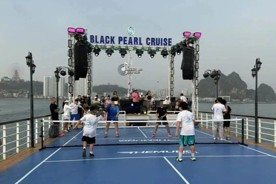 Quảng Ninh làm việc với chủ tàu tổ chức chơi Pickleball ngay giữa vịnh Hạ Long