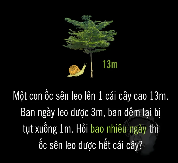 Ốc sên mất bao nhiêu ngày để leo hết cái cây 13m?