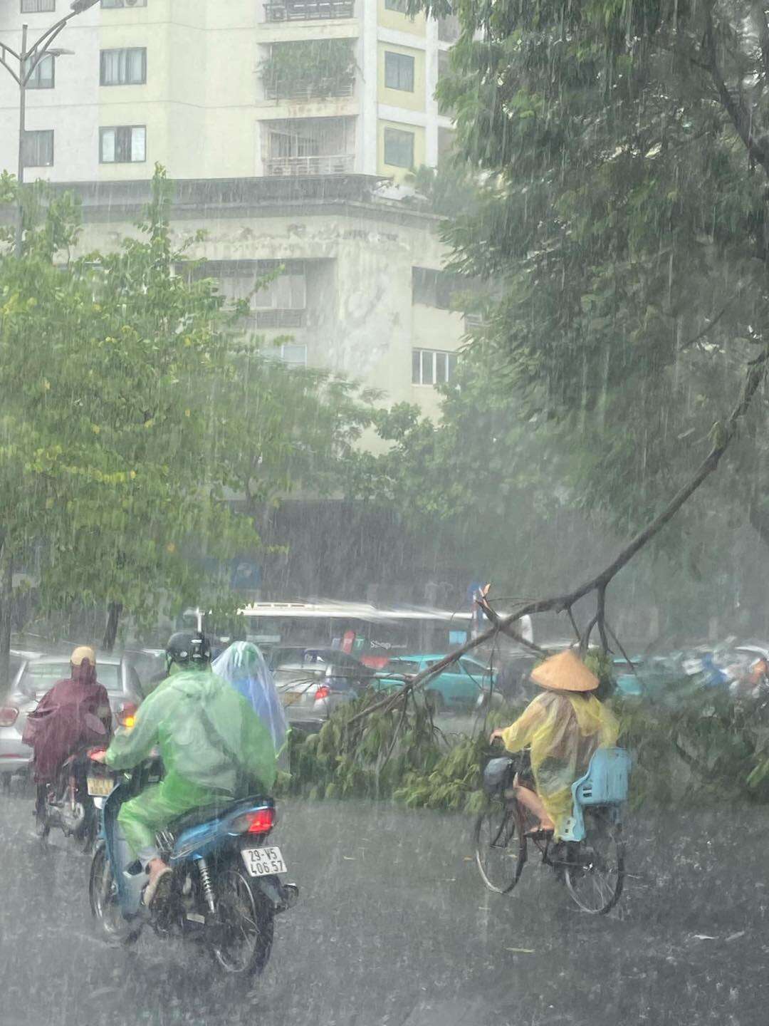 Hà Nội mưa to giữa trưa, gió giật như bão khiến cây đổ, gãy cành