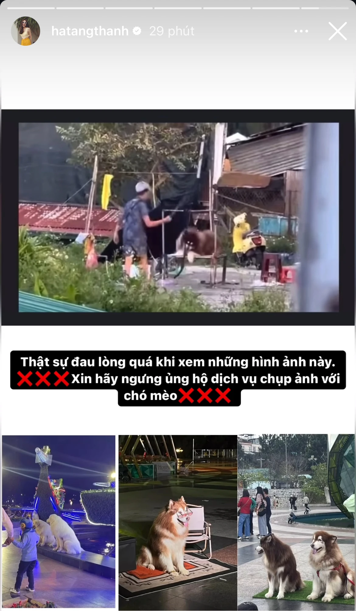 Tăng Thanh Hà phẫn nộ, chuyện gì đây?