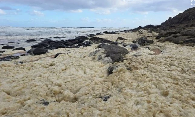 Hơn 100 người bất ngờ nhiễm bệnh lạ sau khi đi tắm biển