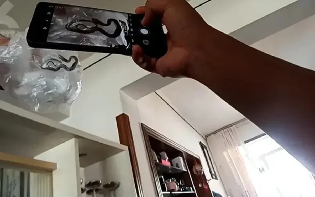 Vừa mở cửa vào nhà, cặp vợ chồng hoảng hốt khi thấy cảnh tượng đáng sợ trong phòng khách