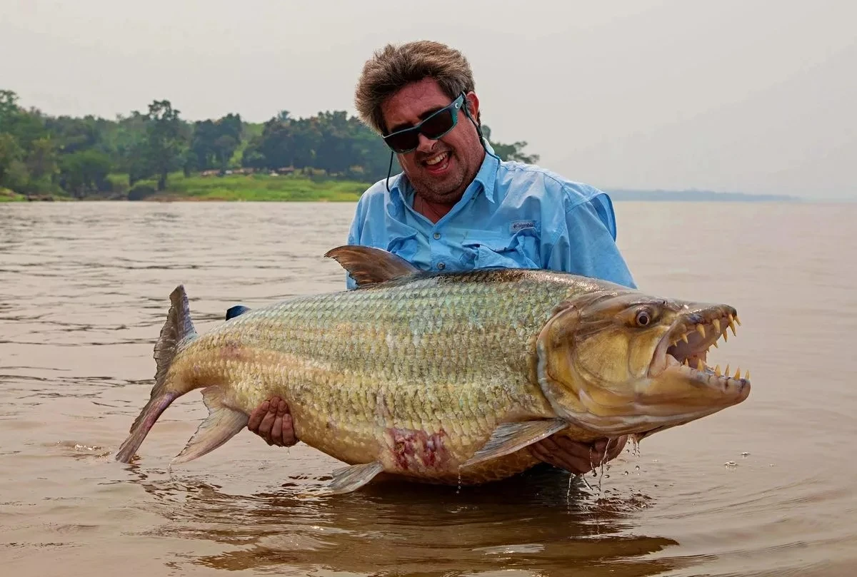 Cần thủ câu được con cá đáng sợ nặng 34kg trên sông