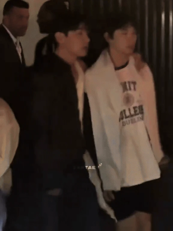 Bắt gọn V (BTS) và Park Bo Gum 