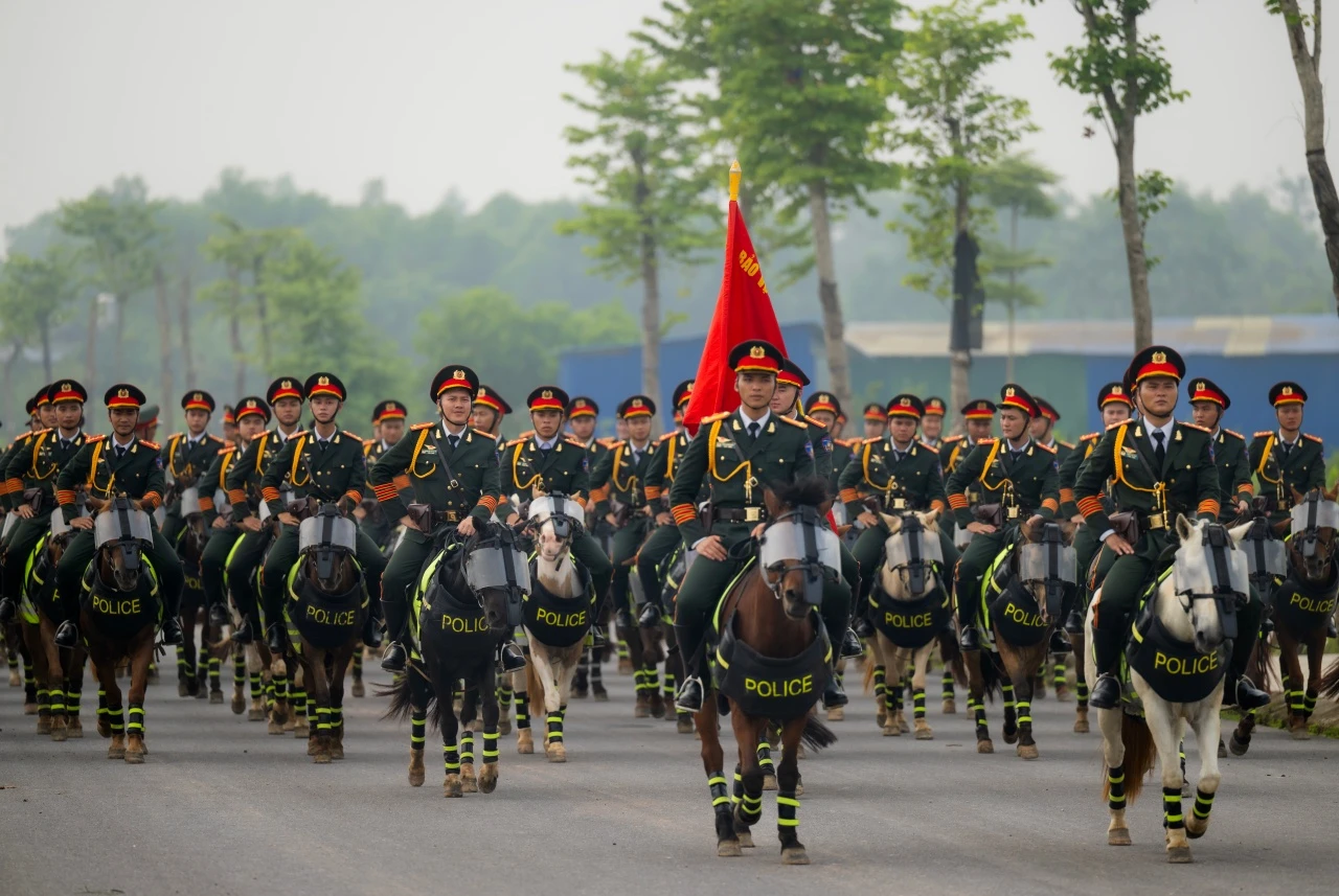 Những hình ảnh mới nhất của Út Ngáo – chú ngựa nổi tiếng mạng xã hội trong những đợt diễu binh