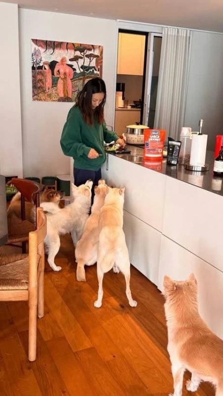 Lee Hyori tiết lộ từng bị chó cắn suýt đứt ngón tay