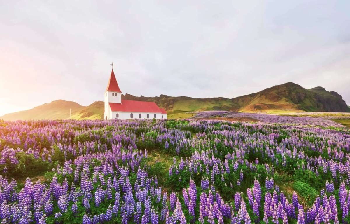 Iceland: Hạnh phúc là không ai bị bỏ lại phía sau và sống tích cực