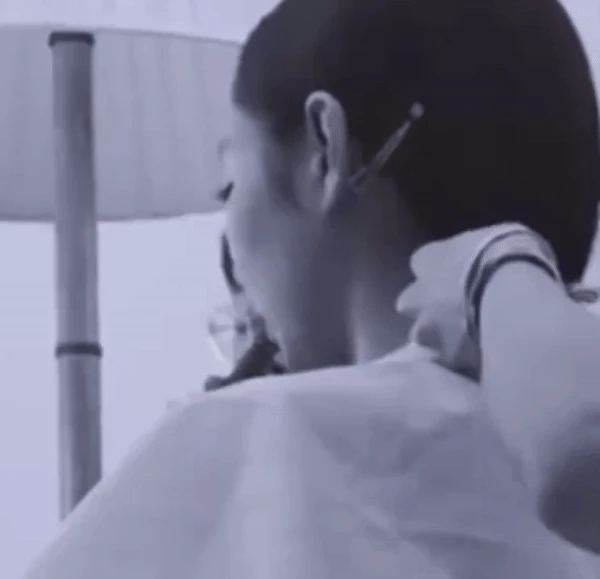 Đi vào lòng đất: Fan 