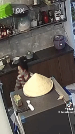 Vợ Lê Dương Bảo Lâm hoảng loạn bỏ chạy vì gặp rắn bò vào nhà