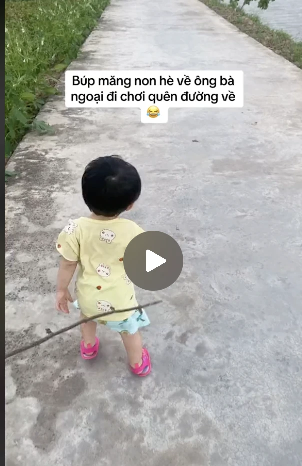 Trào lưu 