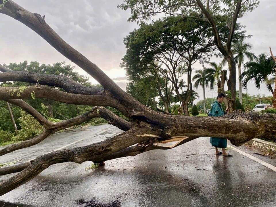 Nhiều cây xanh gãy đổ, kẹt xe nối dài hướng Vũng Tàu đi Bà Rịa