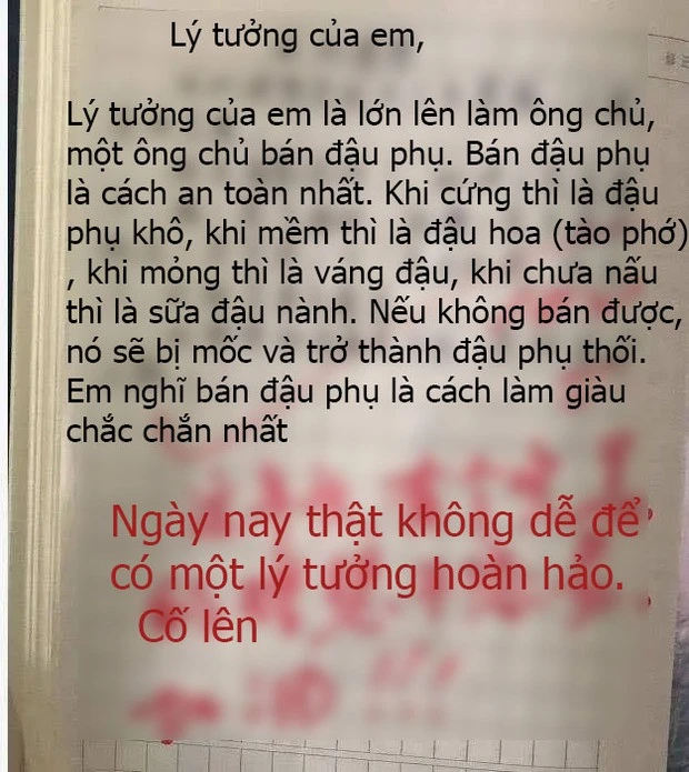 Cậu bé cấp 1 viết văn kể: 