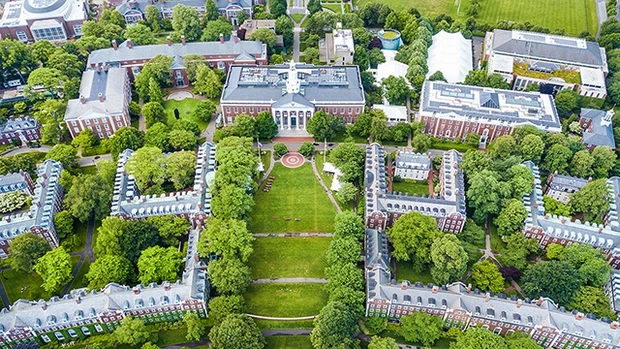 Cán bộ tuyển sinh của Harvard nói thẳng: 