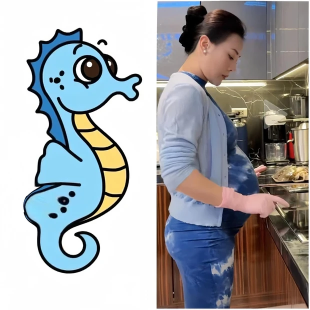 Lộ diện ngoại hình chân thực của Phương Oanh khi mang bầu 7 tháng, vợ shark Bình còn tự so sánh mình với con cá ngựa