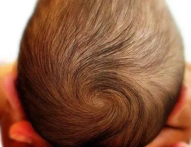 Đứa trẻ có mấy xoáy tóc thì thông minh hơn? Câu trả lời của các nhà khoa học sẽ khiến bạn bất ngờ