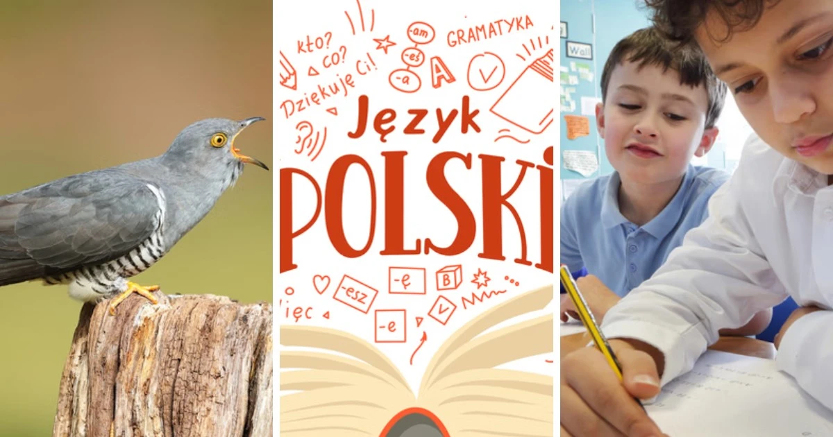 Polski to twój ojczysty język? W tym quizie możesz stracić tylko 1 punkt