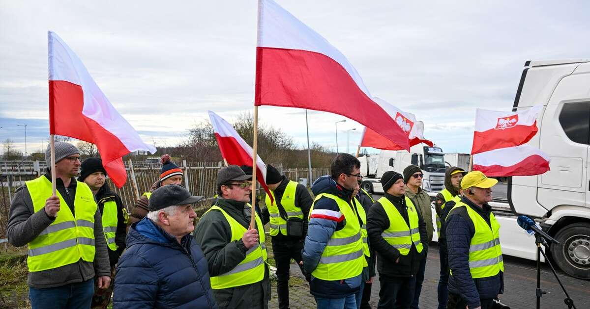 Rolnicy pikietowali przy granicy z Niemcami. Domagają się lepszej ochrony przed pryszczycą