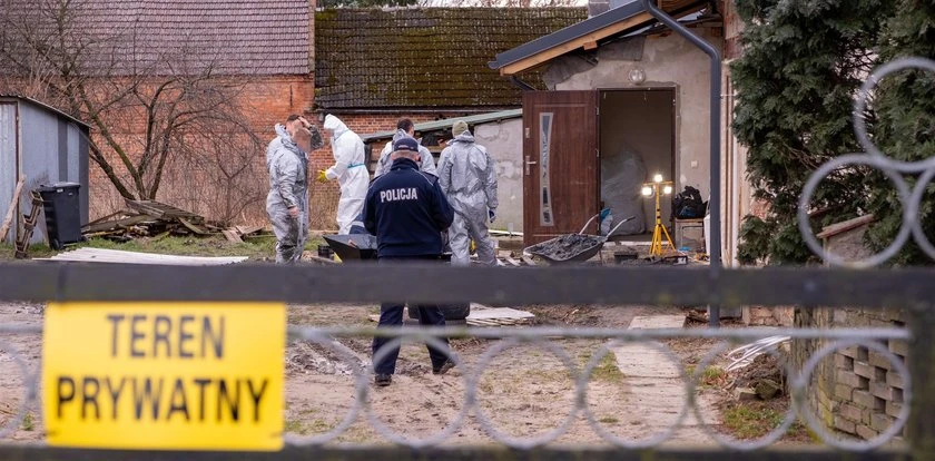 Tajemnica kości znalezionych w piwnicy. Kluczowe są srebrne zęby