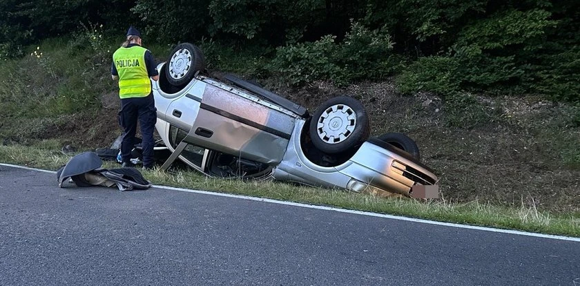 Sarna wbiegła wprost pod auto z trójką małych dzieci. Kierowca nie miał szans