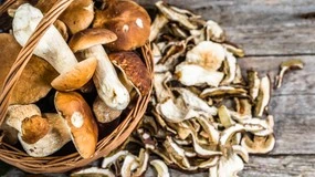 W lasach urodzaj grzybów. Oto genialne, sprawdzone sposoby na suszenie grzybów