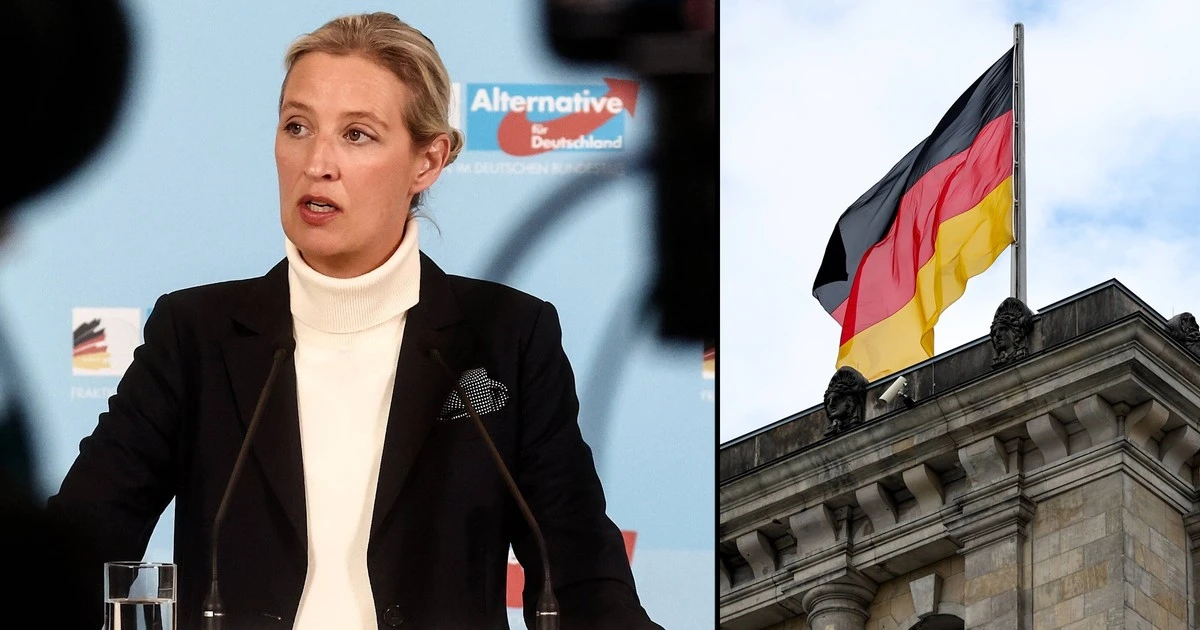 Były szef Kontrwywiadu mówi, co teraz może stać się z AfD. 